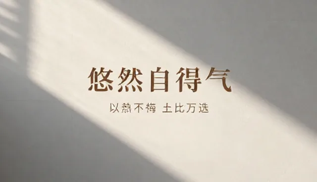 活动执行中拍摄环节有哪些常见问题？